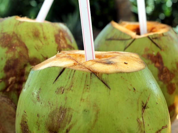 हरा नारियल पानी के फायदे