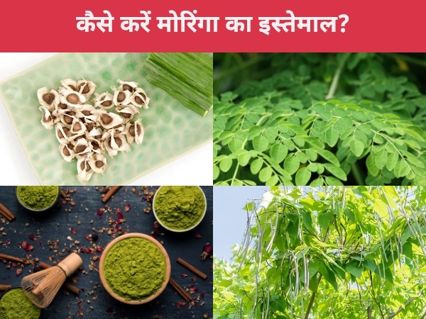 कैसे करें मोरिंगा का इस्तेमाल? Moringa benefits in Hindi