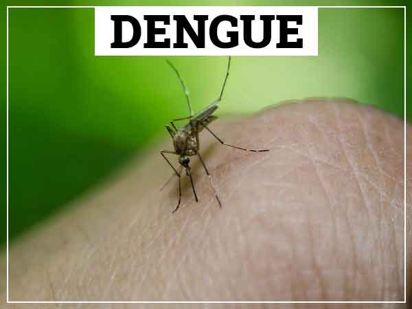 Dengue Home Remedies - जानिए डेंगू से बचने के घरेलू उपाय! 