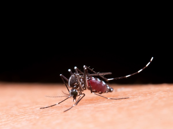 Types of Malaria – जानिए मलेरिया के 5 प्रकार और इसके बचाव!