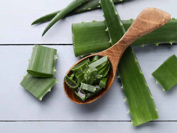 Aloevera for cold and cough