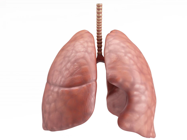 Lungs Cancerr (Lung Cancer Symptoms)