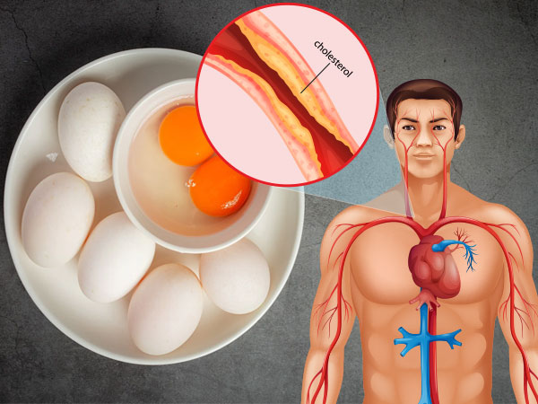 Eggs increase the risk of heart diseases