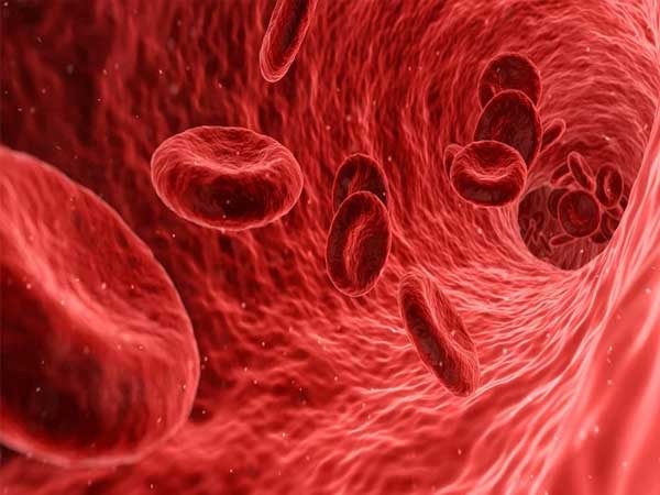 Hemoglobin in Hindi – हेमोग्लोबिन क्या है? कारण, लक्षण और बचाव!
