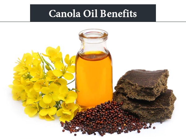 Canola-Oil-Benefits