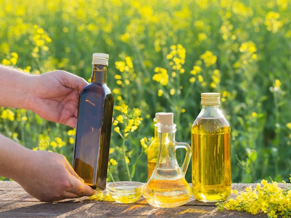 What-is-Canola-Oil-in-Hindi