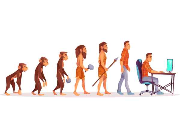What changes occurred during human evolution