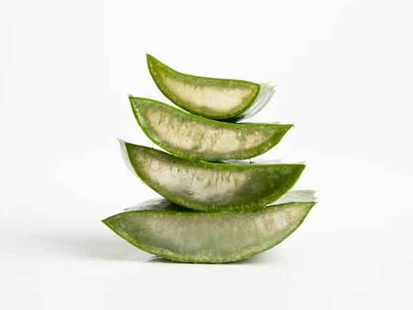 Introduction-to-Aloe-Vera-and-Its-Benefits