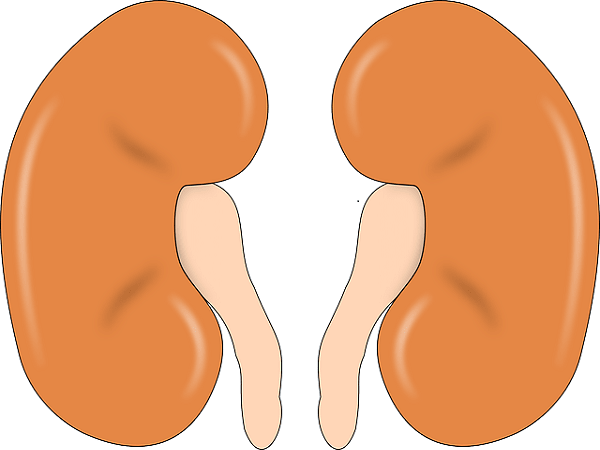  Kidney problem | Life can Also be Lost If Attention Is Not Given |