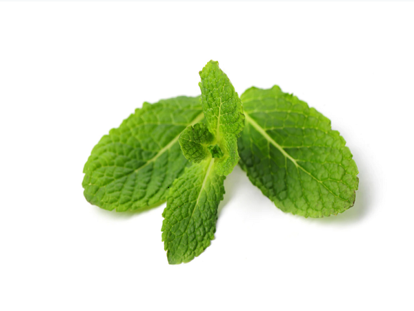 Peppermint Relieves IBS Pain and May Reduce Nausea 6 Delicious Herbs and Spices With Powerful Health Benefits