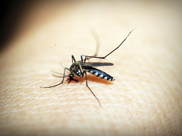 Novel Malaria Treatment for Children Receives First Approval
