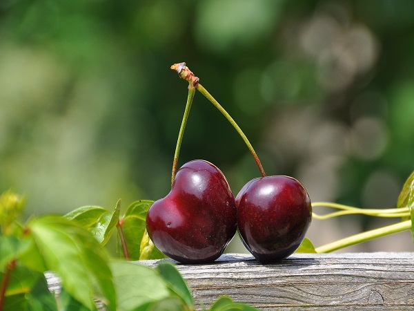 Consume cherries, blueberries and strawberries Uric Acid: Increase in uric acid can increase the risk of kidney stones