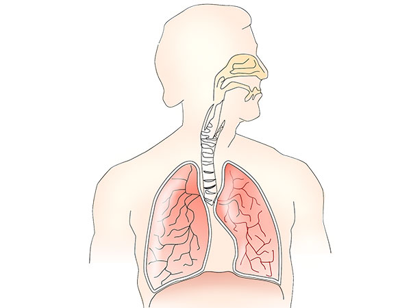 Cystic Fibrosis 8 Types of Respiratory Diseases 