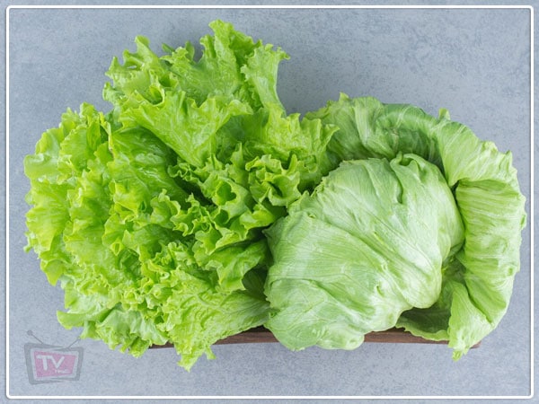 Lettuce: vegetables that are good diabetic patients