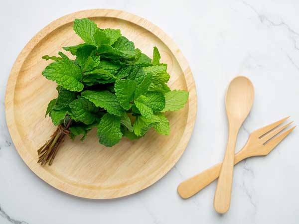 Mint to beat the excruciating Indian summer