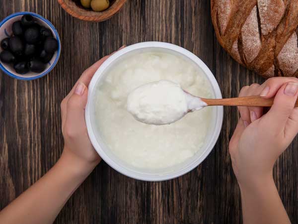 Yoghurt 10 food items to beat the excruciating Indian summer