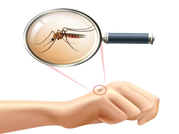 Malaria Prevention and Treatments