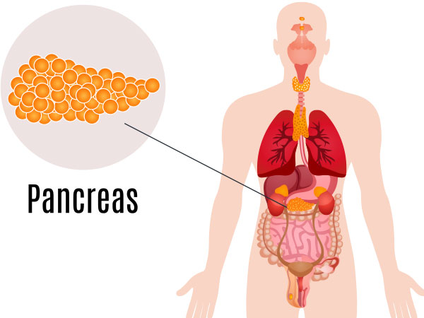 Pancreas Health