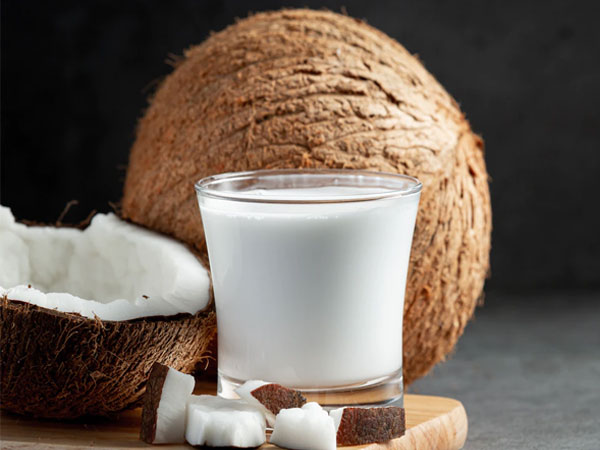 Coconut milk Diabetes diet plan