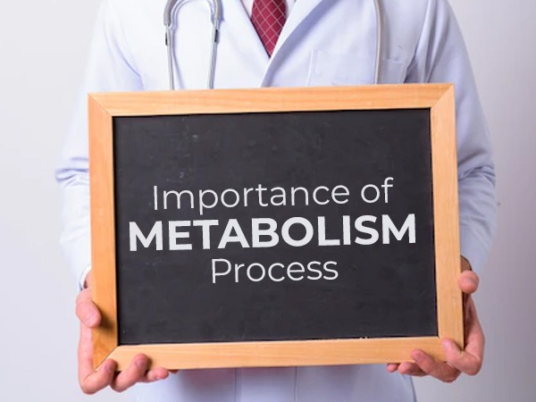 Importance-of-metabolism-process-in-humans