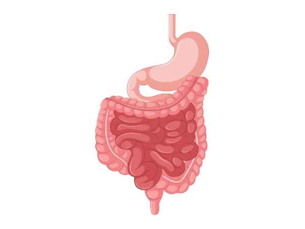 Do You Have Inflammatory Bowel Disease Get Relief with Its Treatment!