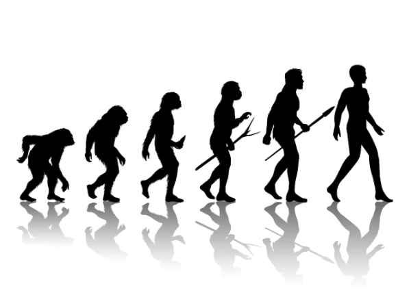 Human Evolution Evolutionary History and Human Health
