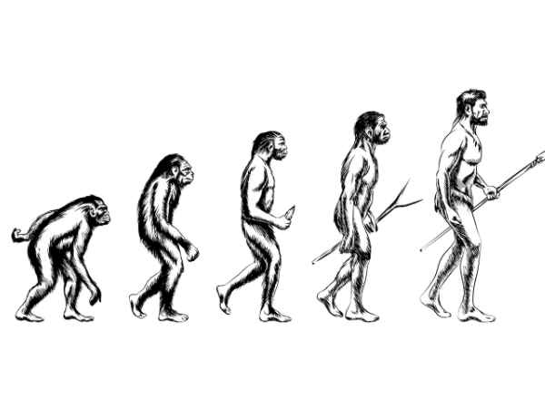 Human evolution: the next stages, Evolution