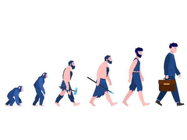 What changes happened during Human evolution