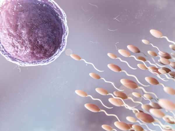 An overview of IVF's benefits