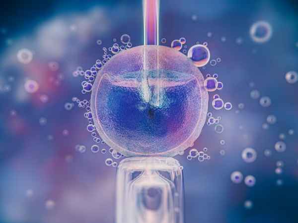 How Does IVF Work
