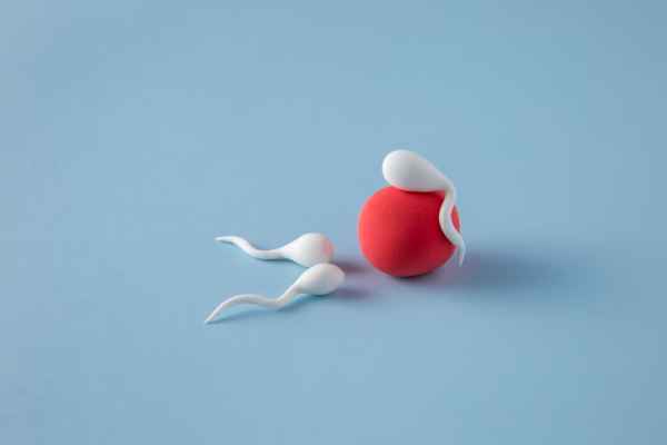 Overview of male infertility