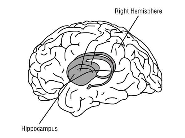 Hippocampus-Treatment-And-Their-Clinical-Trials
