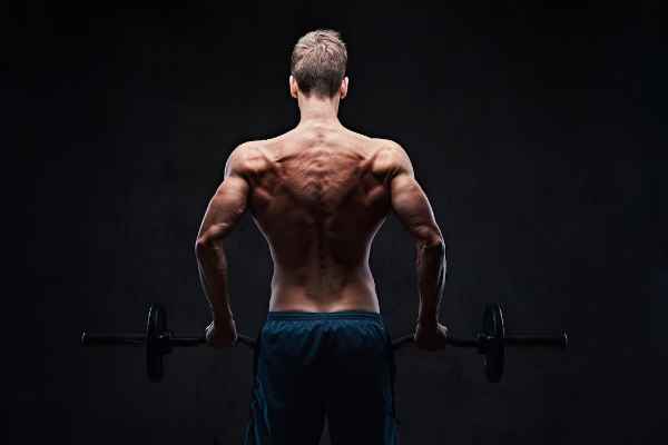 10 Best Exercises Weight Training for Back