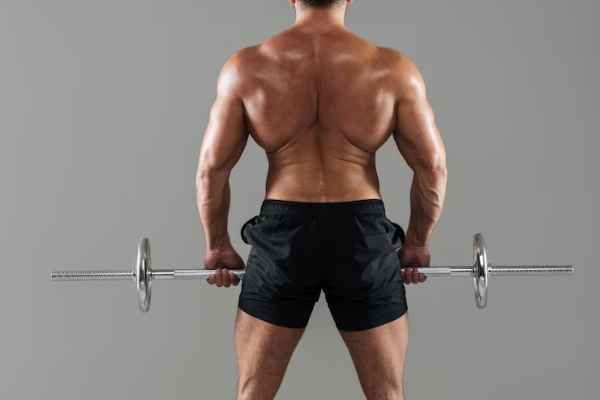 Introduction to weight training for back