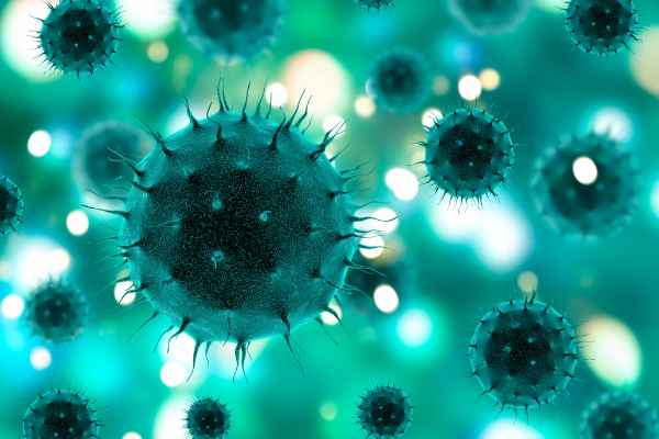 Diagnosing Poliovirus