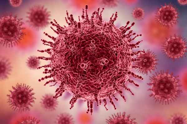 What is Poliovirus