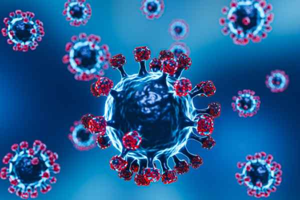 What is the State of the Polio Virus in India