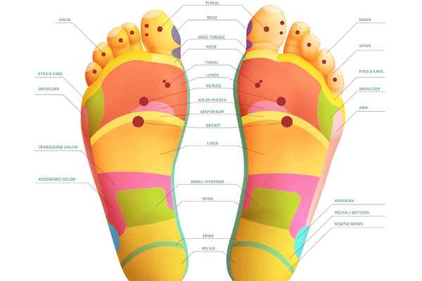 Foot Reflexology: Exploring the Reflex Zones!