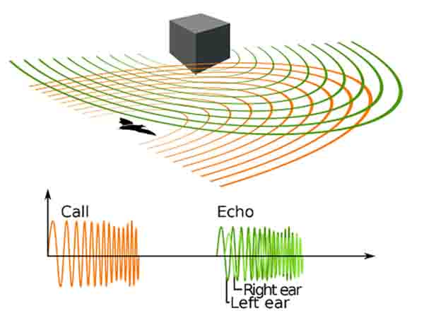Understanding ultrasound waves and their properties