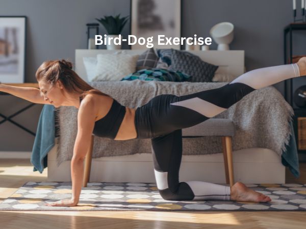 Bird-Dog Exercise