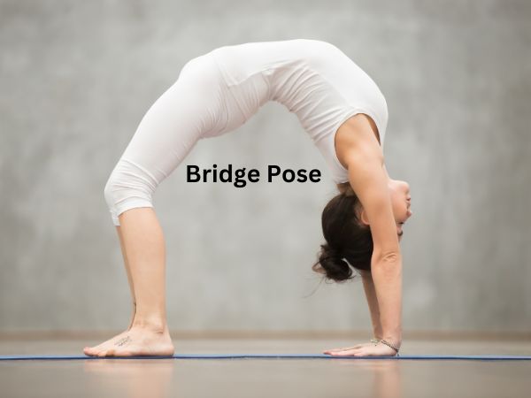 Bridge Pose