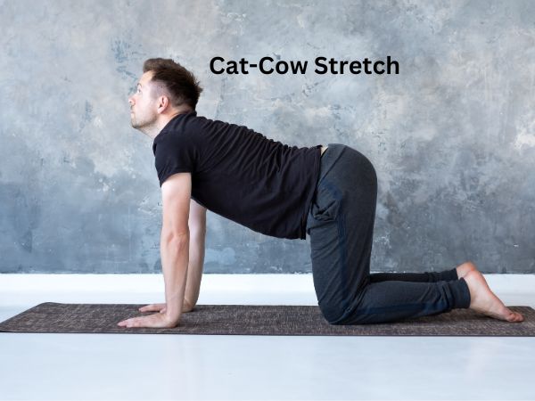 Cat-Cow Stretch