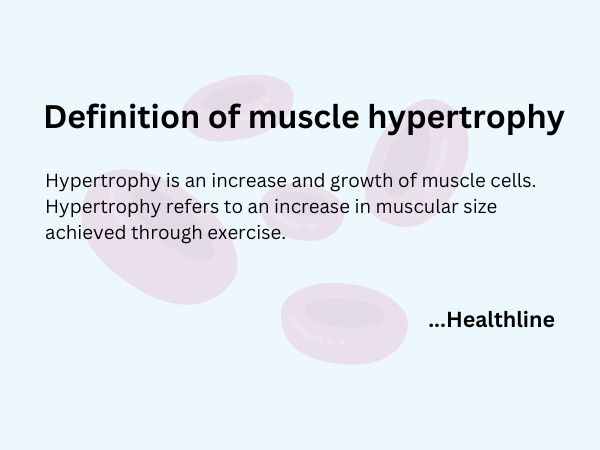 Definition of muscle hypertrophy