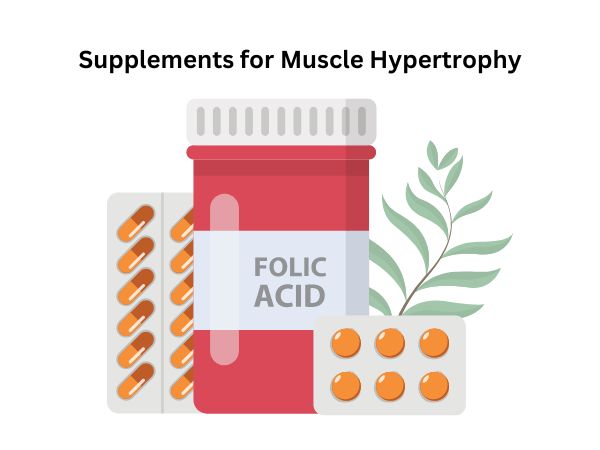 Supplements for Muscle Hypertrophy