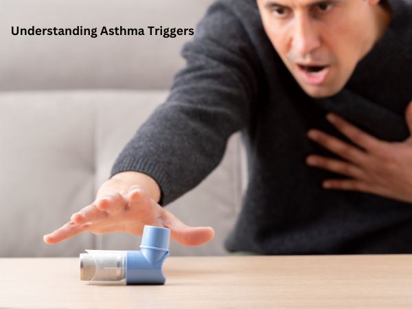 Understanding Asthma Triggers
