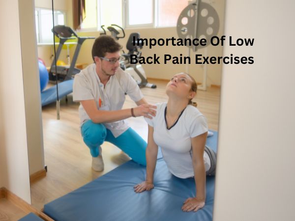 Understanding the importance of low back pain exercises