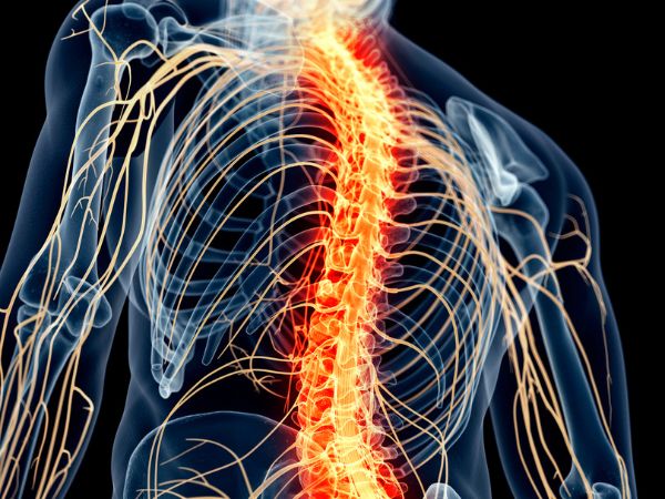 Introduction Spinal Tuberculosis