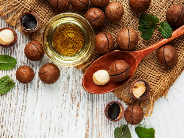 Macadamia Nuts: Exploring The Benefits, History, Nutritional Value