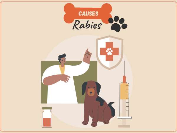 Rabies Causes