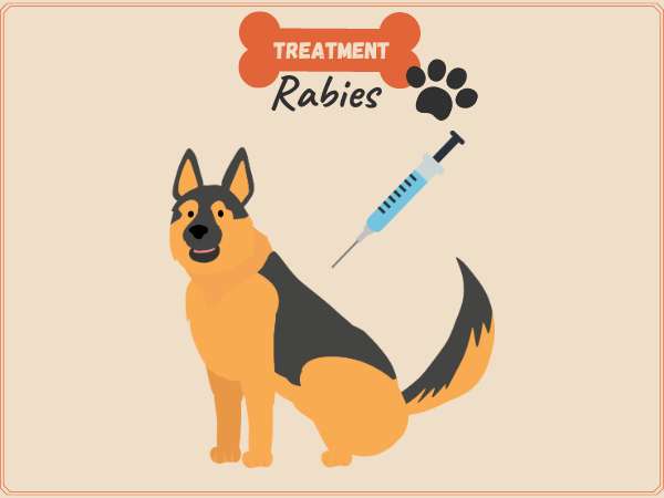 Dog bite Treatment
